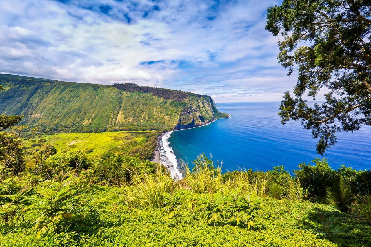 Kona Bali Kai #319 Daire Kailua-Kona Dış mekan fotoğraf