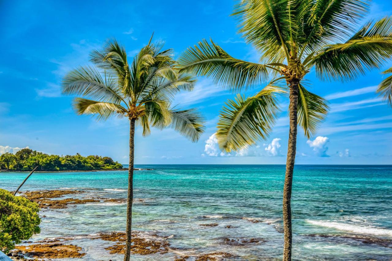 Kona Bali Kai #319 Daire Kailua-Kona Dış mekan fotoğraf